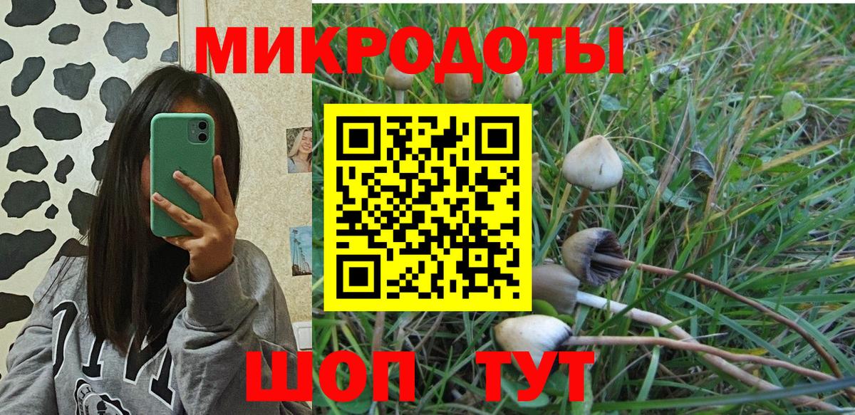 Галлюциногенные грибы Psilocybine cubensis Владикавказ