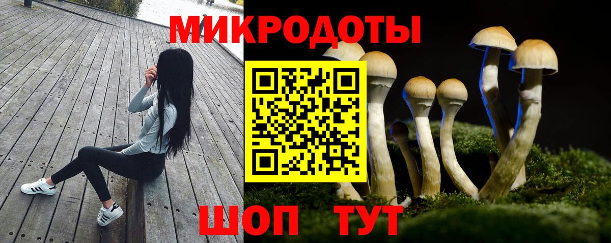 Владикавказ  Псилоцибиновые грибы мухоморы  Вход с VPN  Псилоцибиновые грибы MAGIC MUSHROOMS 